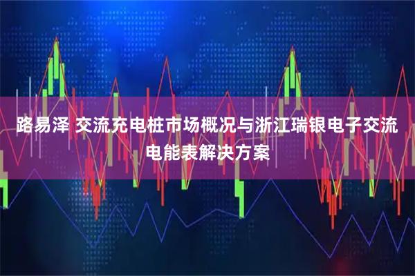 路易泽 交流充电桩市场概况与浙江瑞银电子交流电能表解决方案