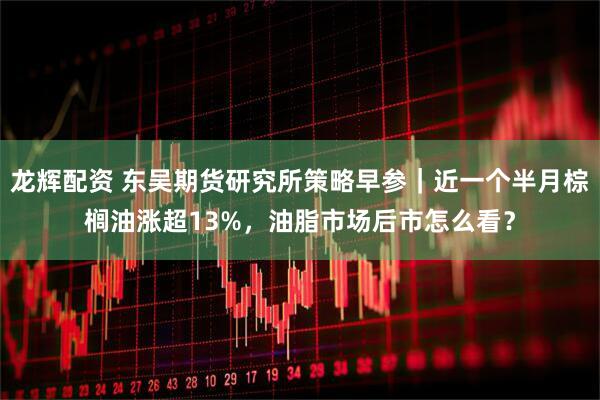 龙辉配资 东吴期货研究所策略早参｜近一个半月棕榈油涨超13%，油脂市场后市怎么看？