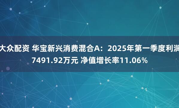 大众配资 华宝新兴消费混合A：2025年第一季度利润7491.92万元 净值增长率11.06%