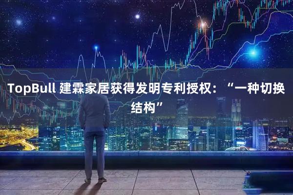 TopBull 建霖家居获得发明专利授权：“一种切换结构”