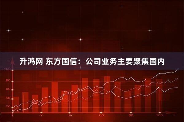 升鸿网 东方国信：公司业务主要聚焦国内